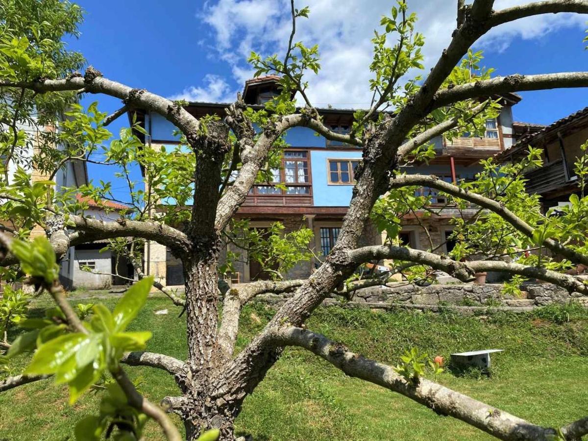 Casa Rural El Bohio Arriondas Kültér fotó